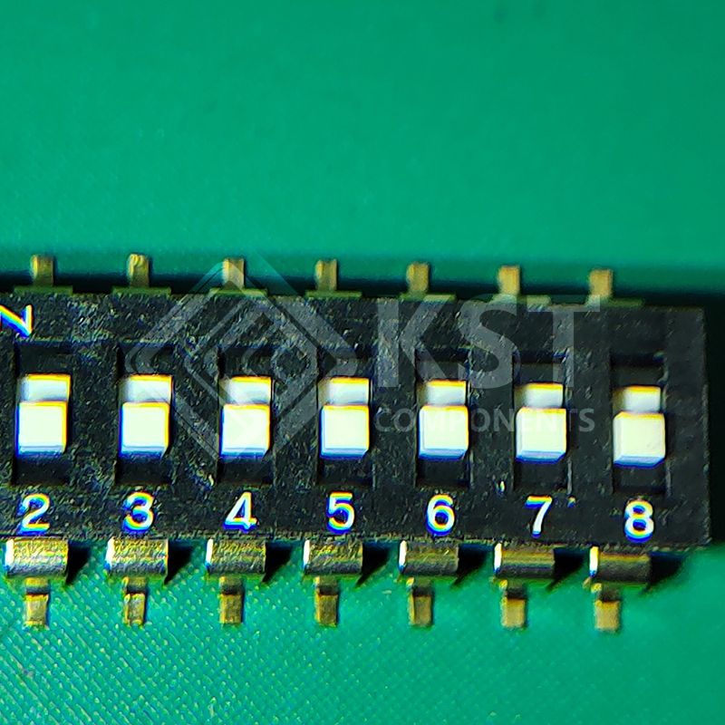 DS04-254-1-08BK