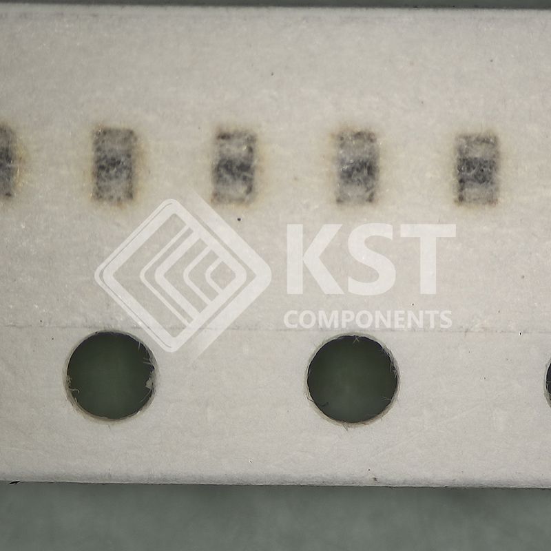 LI0402E300R-10