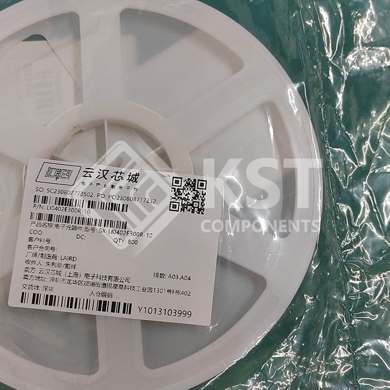LI0402E300R-10