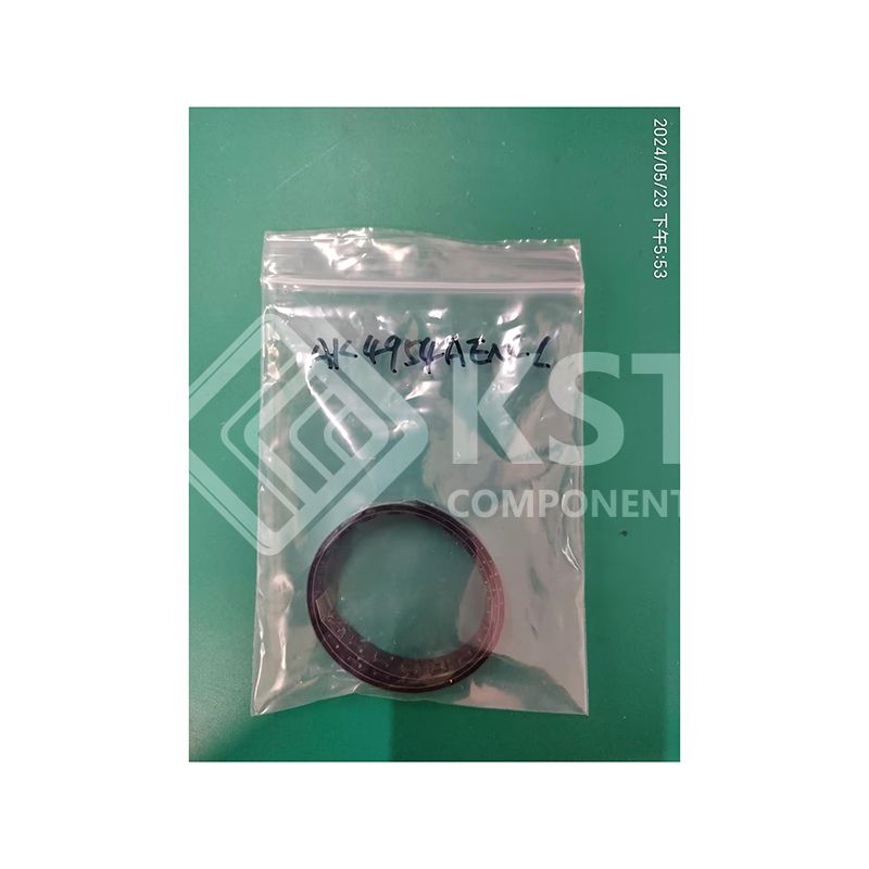 AK4954AEN-L