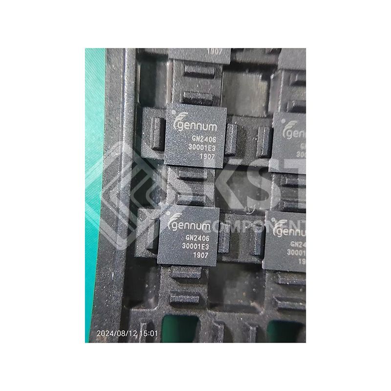 GN2406-INE3