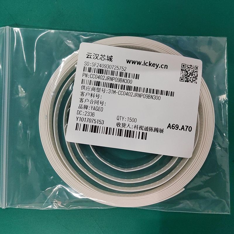 CC0402JRNPO9BN300