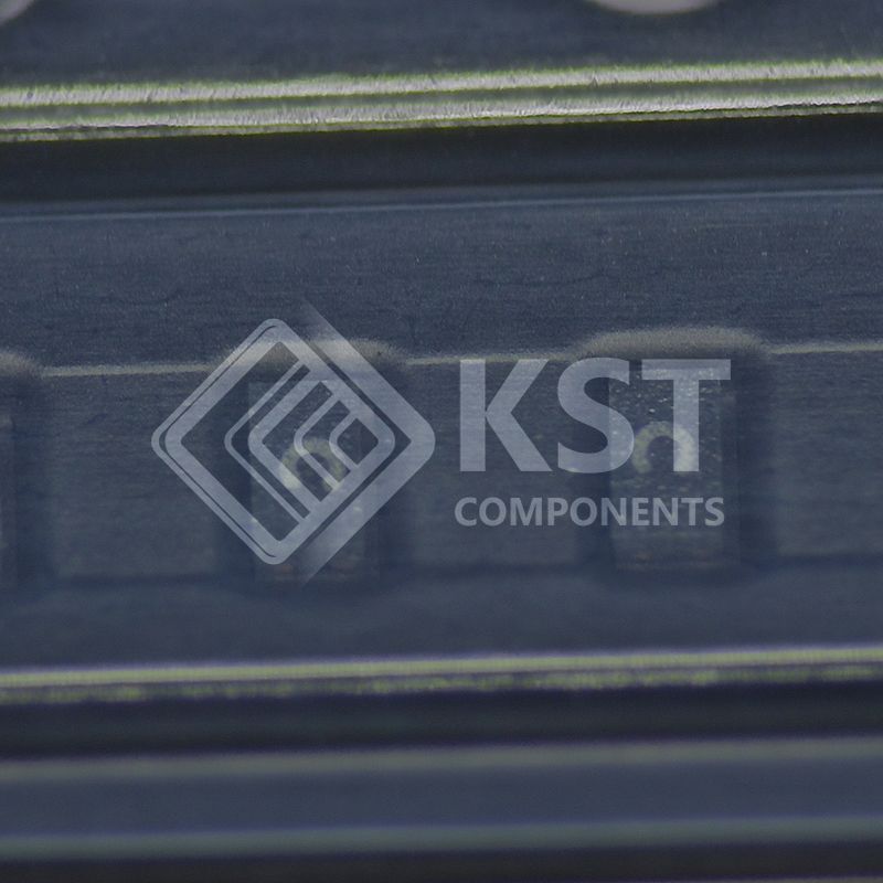 SESD0402X1BN-0010-098